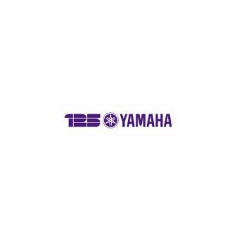 Ремонт Yamaha