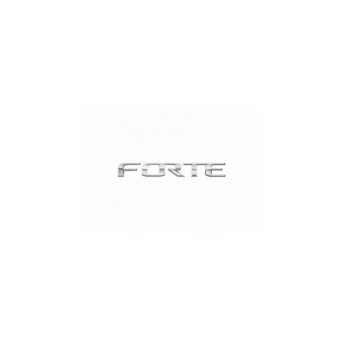 Ремонт Forte