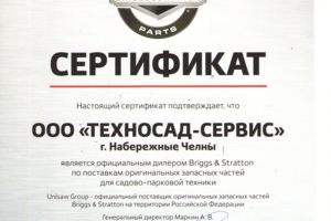 Ремонт и поставка запчастей Briggs&Stratton