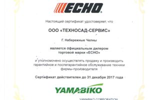 Авторизация Echo