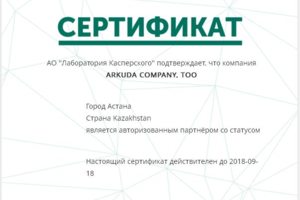 Партнер по продажам Kaspersky