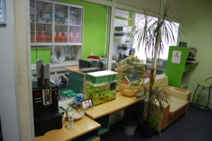 Кофейня-зона ожидания для клиентов. Офис на Ленина, 78, Волжский