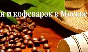Logo сайта