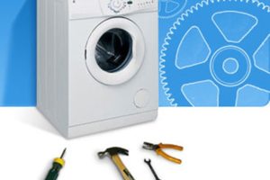 Частный Мастер