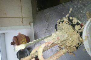 Требуется своевременное вмешательство