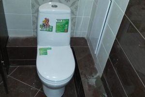 Ремонт унитаза