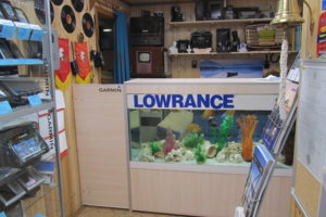 "Эхо-сервис" -