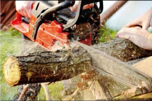 400 руб диагностика мотокос, бензопил.