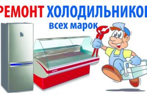 Ремонт холодильников любой сложности на дому.Гарантия до 3 лет.