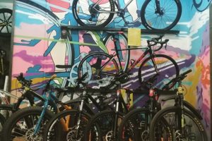 Велосипеды Twitter на витрине ВелоПроЛаб