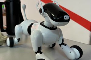 Ремонт робот-собак