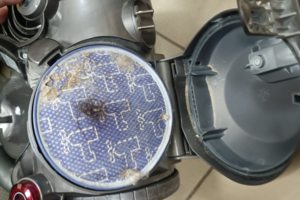 Замена двигателя и фильтров пылесоса Dyson.